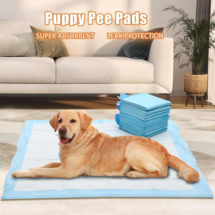 Disposable Puppy Training Pads