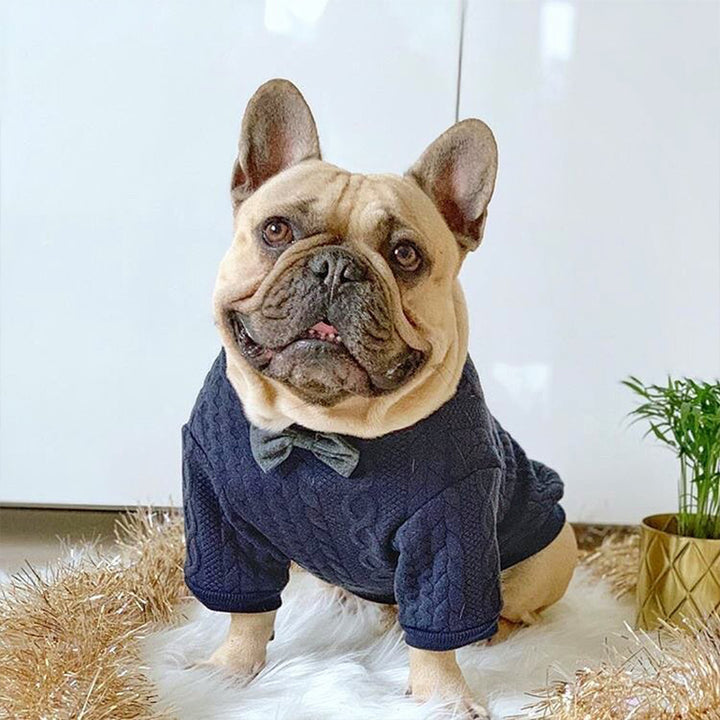 Fashion Dog Coat with Bow Tie