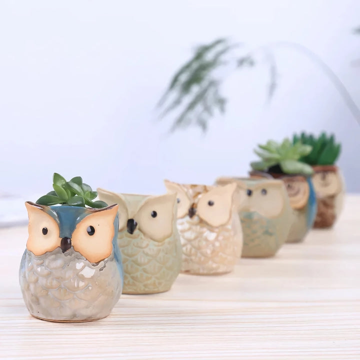 Mini Owl Ceramic Plant Planter