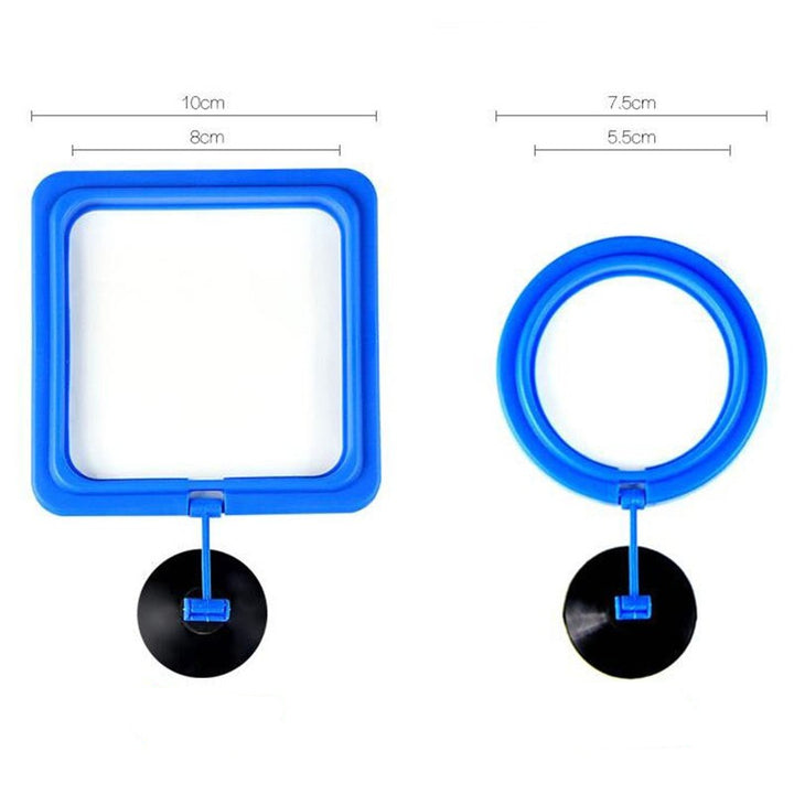 Premium Aquarium Feeding Ring