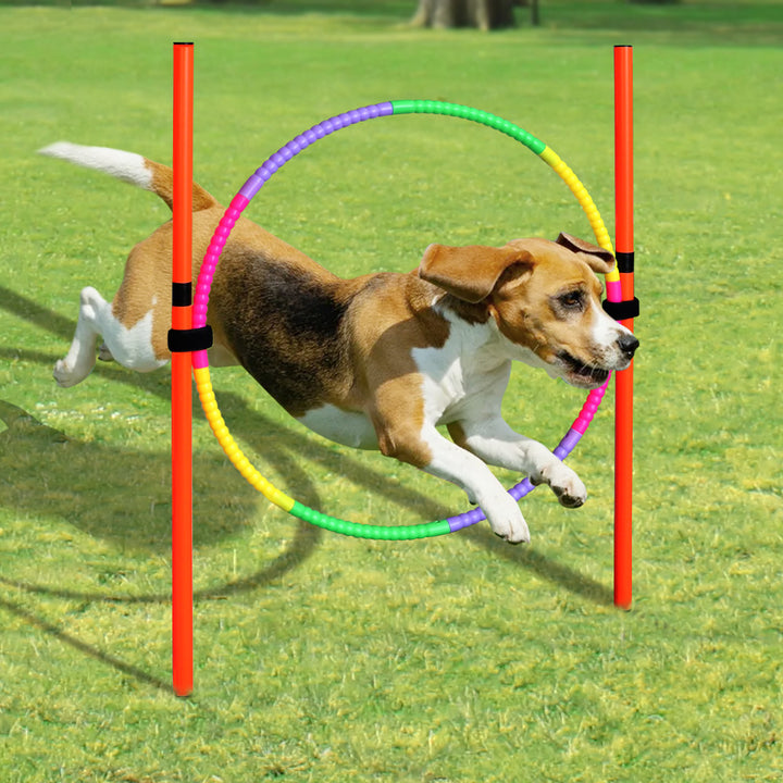 Portable Dog Agility Jumping Tool