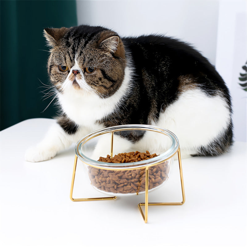 Elegant Non-Slip Cat & Dog Glass Bowl with Gold Stand