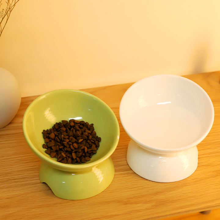 Tilted Elevated Ceramic Cat Bowl