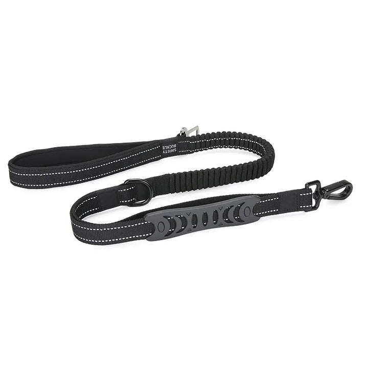 Multifunction Reflective Nylon Dog Leash & Seat Belt