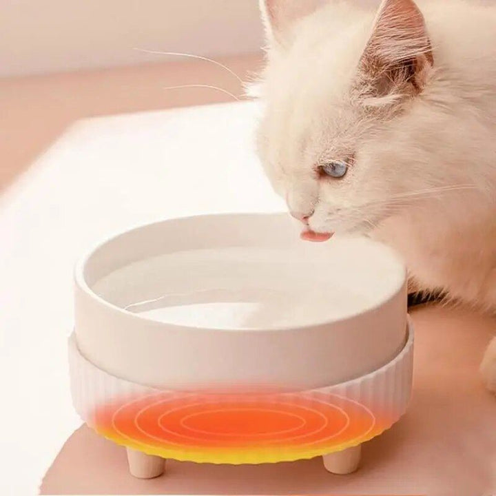 Eco-Friendly USB Rechargeable Heated Pet Water Bowl for All Dog Breeds