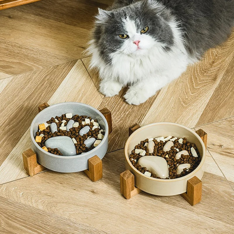 Ceramic Slow Feeder Bowl for Dogs & Cats