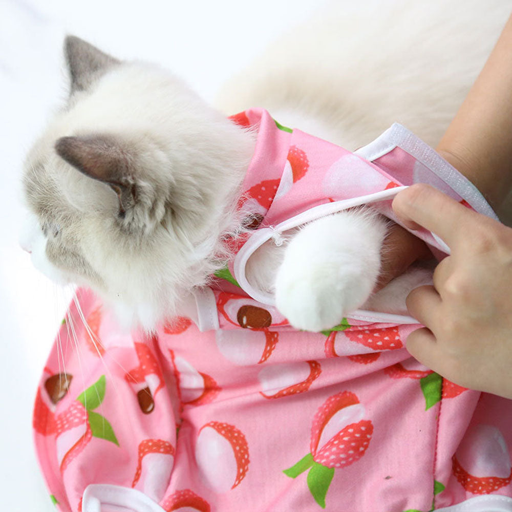 Anti-Licking Pet Surgery Suit