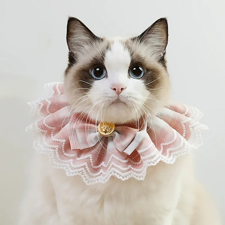 Cute Lace Bowtie Pet Bib