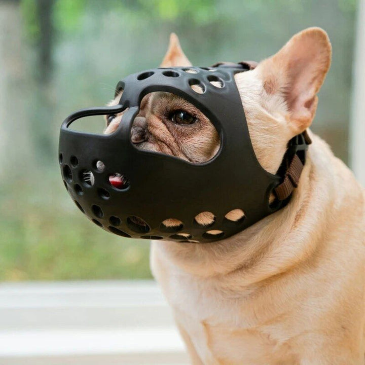 Short Snout Dog Muzzles