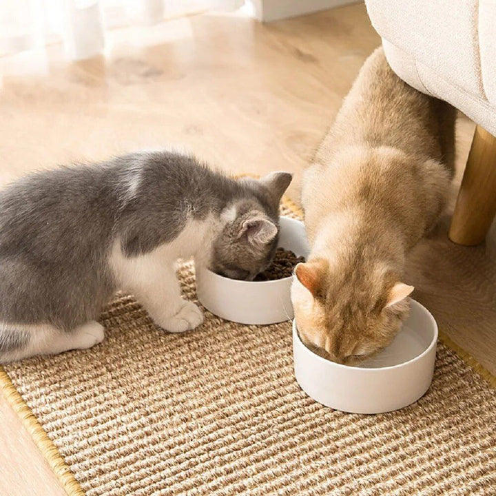 Multi-Purpose Cat Scratching Mat