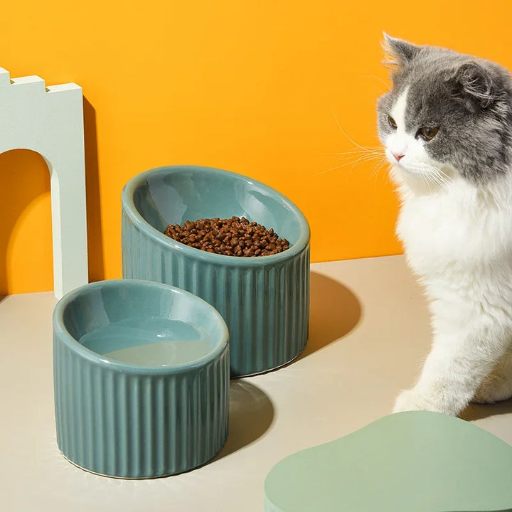 Elevated Ceramic Striped Pet Water Bowl