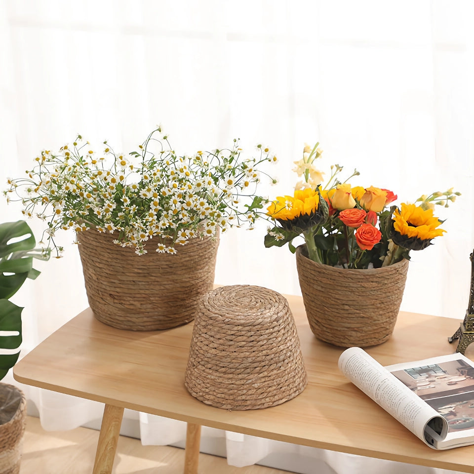 Straw Woven Plant Basket Set