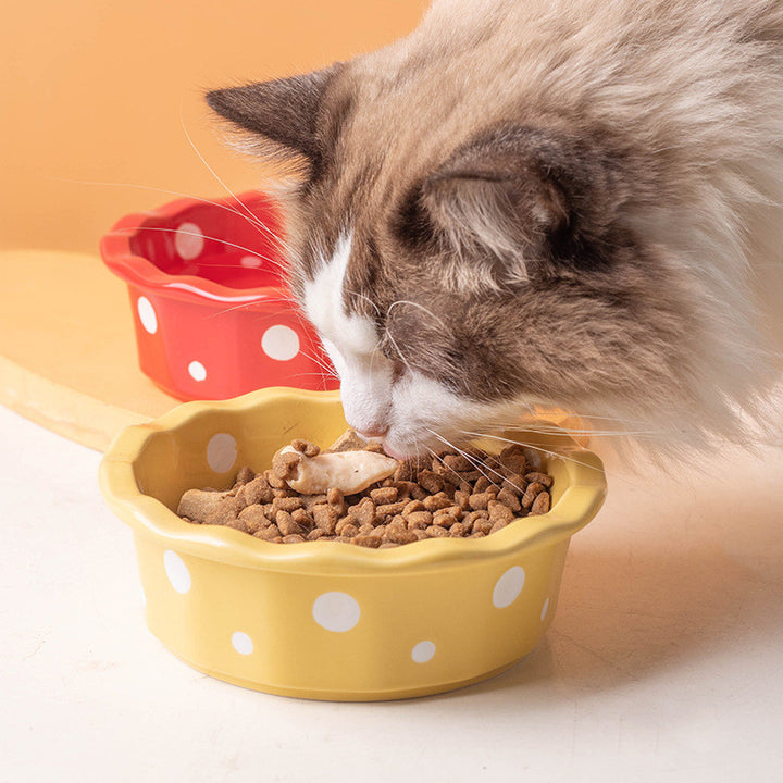 Creative Ceramic Pet Feeder