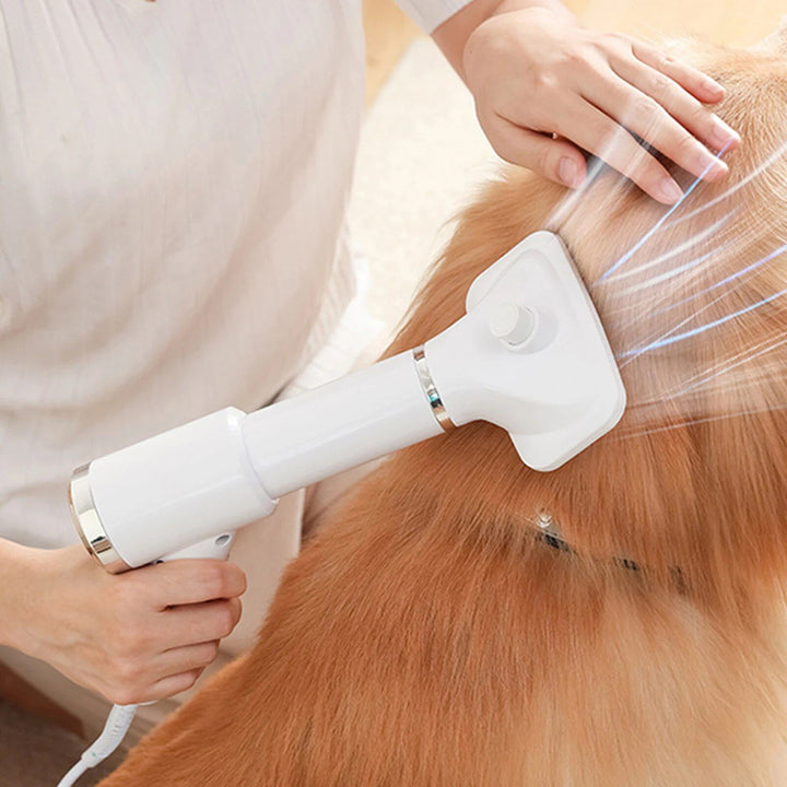 4-in-1 Multifunction Pet Grooming Hair Dryer Comb