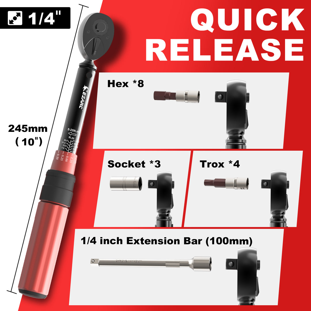 16-Piece Precision Torque Wrench Set