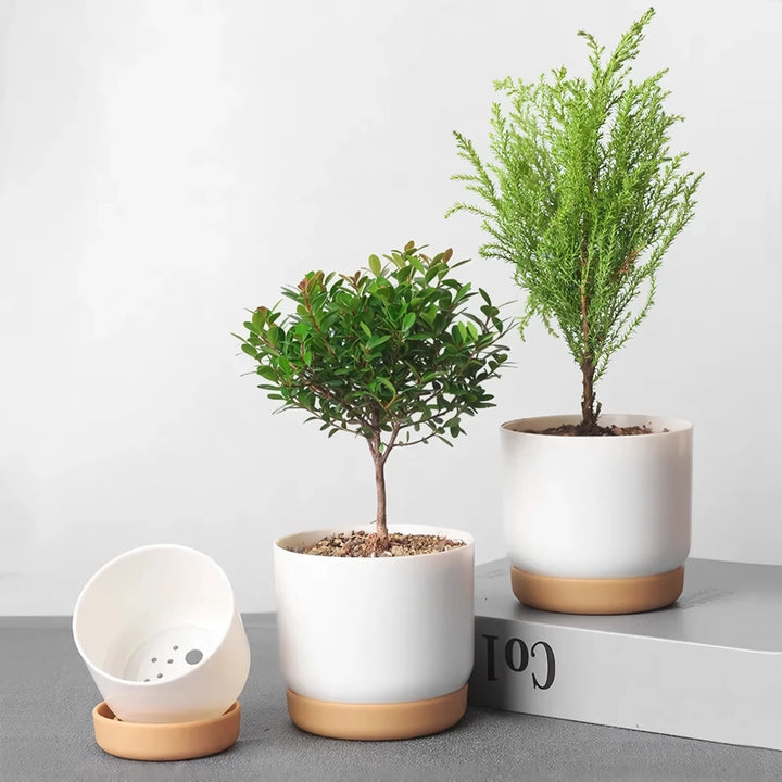 Double-Layer Self-Watering Succulent Plant Pot for Home Decor