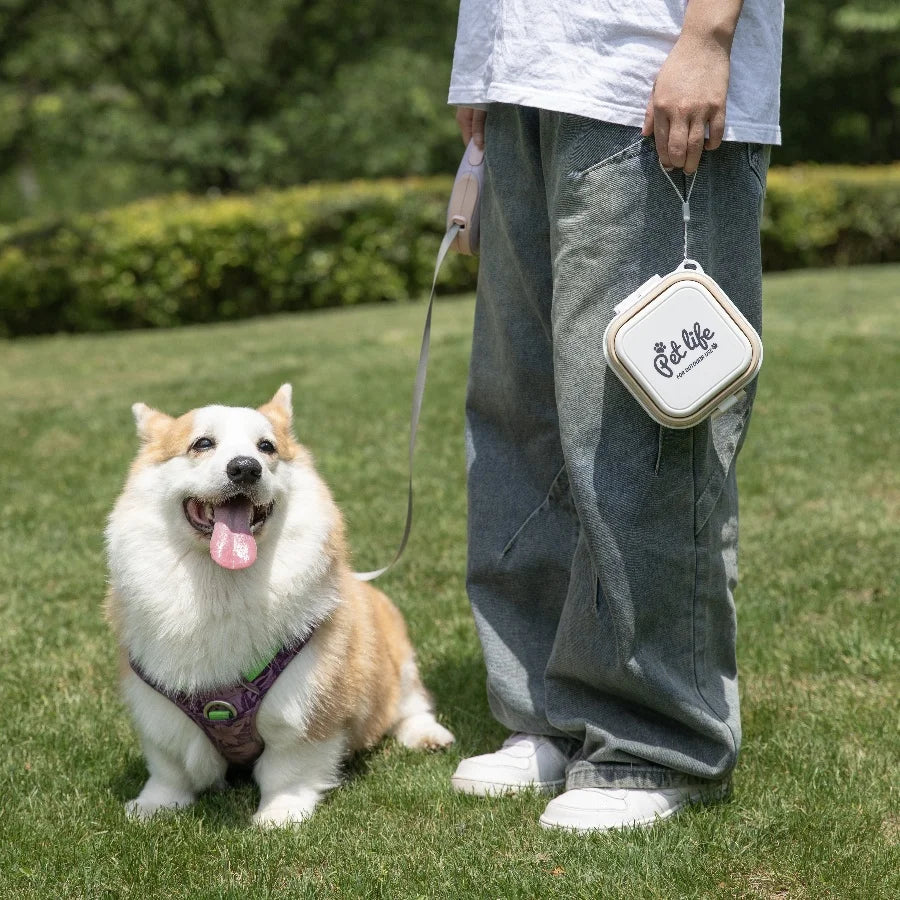 Portable Double-Decker Foldable Travel Bowl