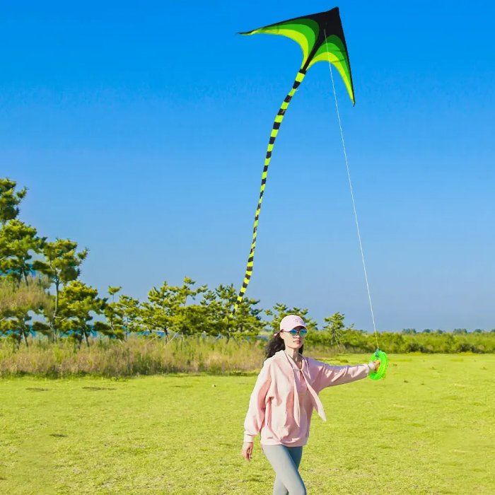 Large Delta Kite for Outdoor Sports