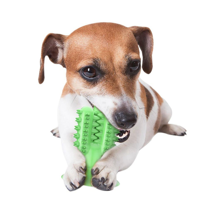 Cactus Dog Toothbrush - MRSLM