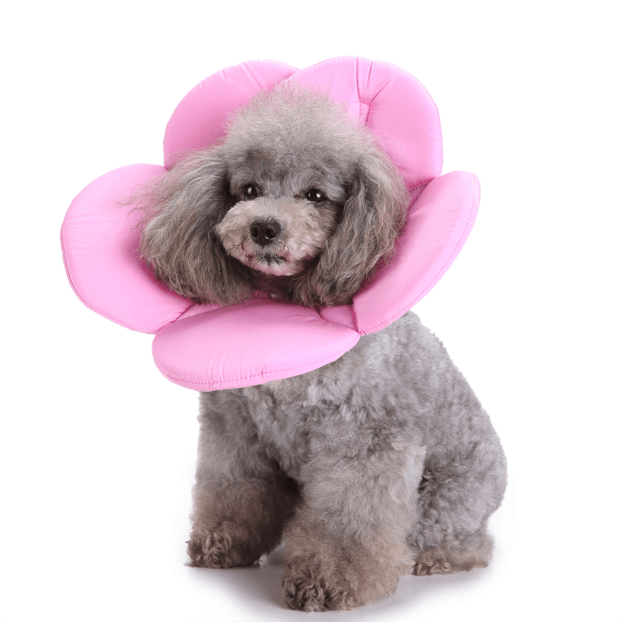 New Soft Sponge Flower Shape Dog Cat Collar Pet Elizabeth Circle Wound Healing Anti-Bite - MRSLM