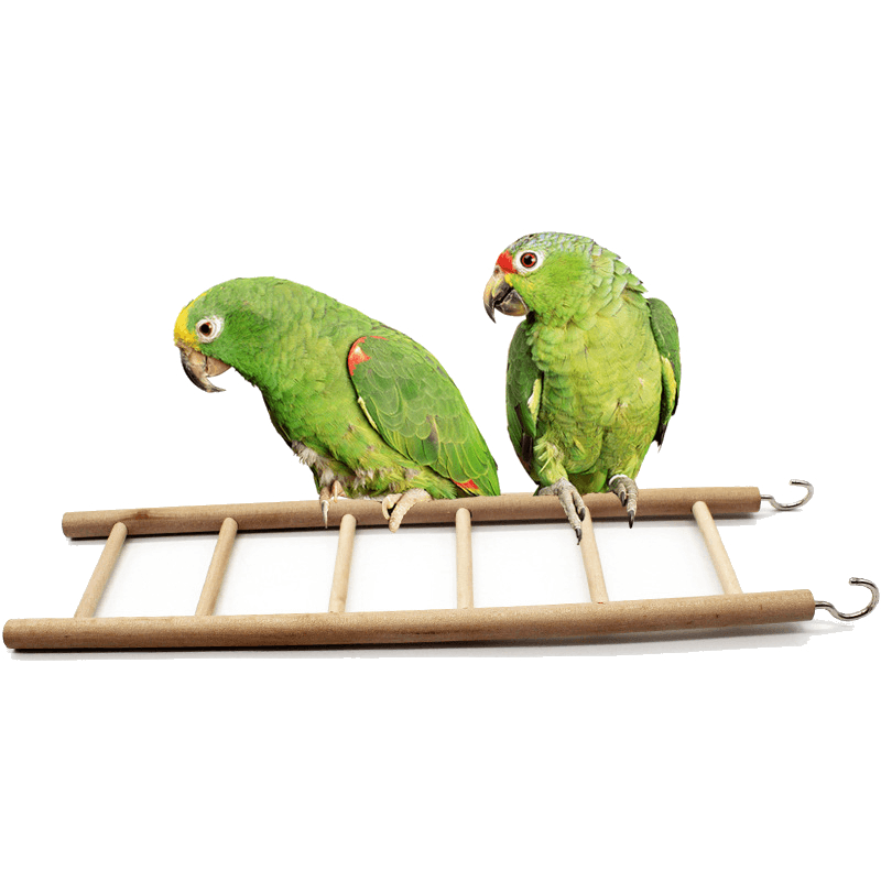 3/4/5/6/7/8 Wooden Ladder Swing Scratcher Climbing Ladder Hamsters Parrot Toys Pet Supplies - MRSLM