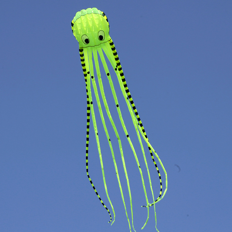 3D Three-Dimensional Software Large Octopus Kite - MRSLM