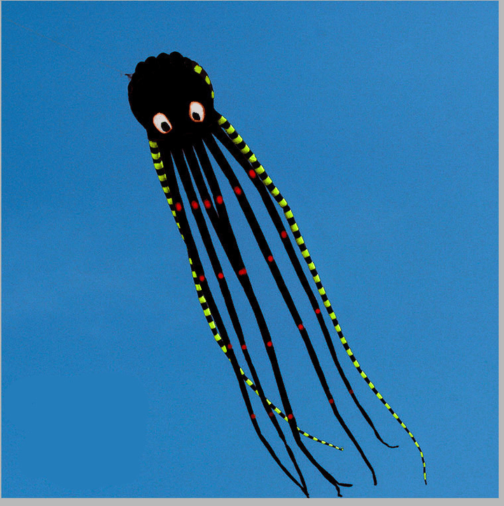 3D Three-Dimensional Software Large Octopus Kite - MRSLM