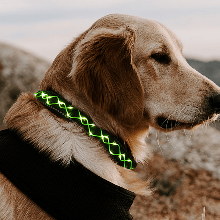 LED Dog Pet Collar Flashing Luminous Safety Night Light Flashing Adjustable - MRSLM