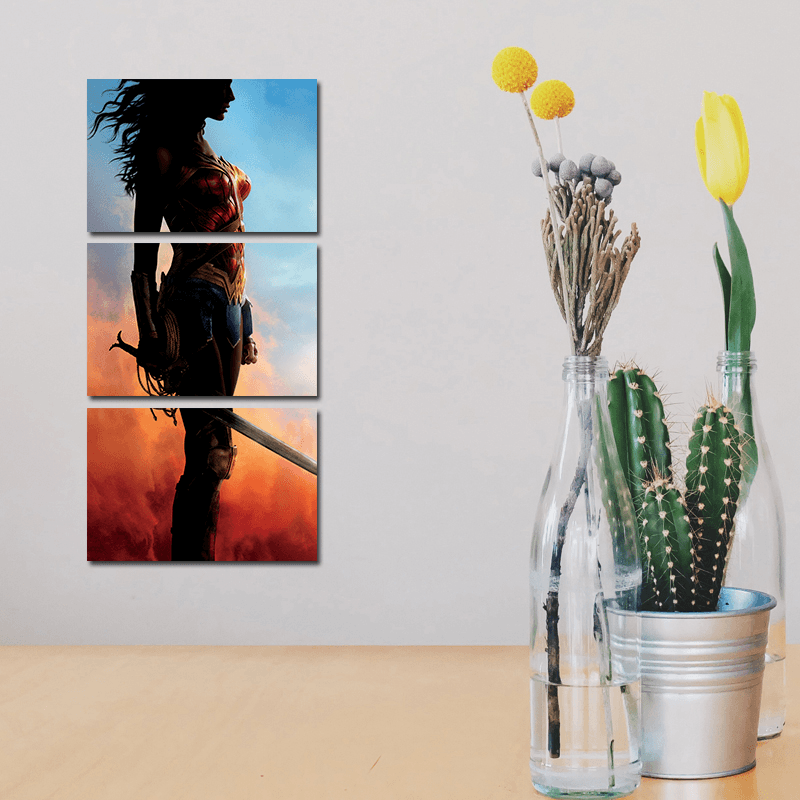 Miico Hand Painted Three Combination Decorative Paintings Wonder Woman Wall Art for Home Decoration - MRSLM