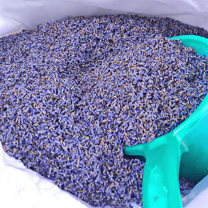 A Variety of Xinjiang Lavender, Fragrant Lavender, Sachet Toy Filled with Dried Flower Particles - MRSLM