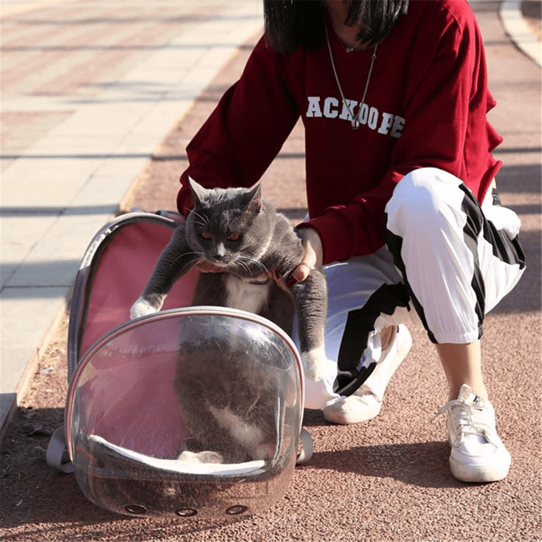 Pet Cat Parrot Bird Carrier Travel Breathable Transparent Space Capsule Backpack - MRSLM