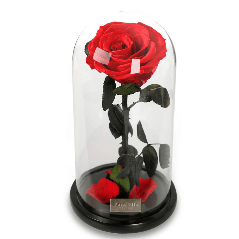 Para Ella Preserved Fresh Rose Flower with Fallen Petals in Glass Dome on a Wooden Base as Gift for Valentine'S Day, Anniversary, Birthday , Wedding - MRSLM