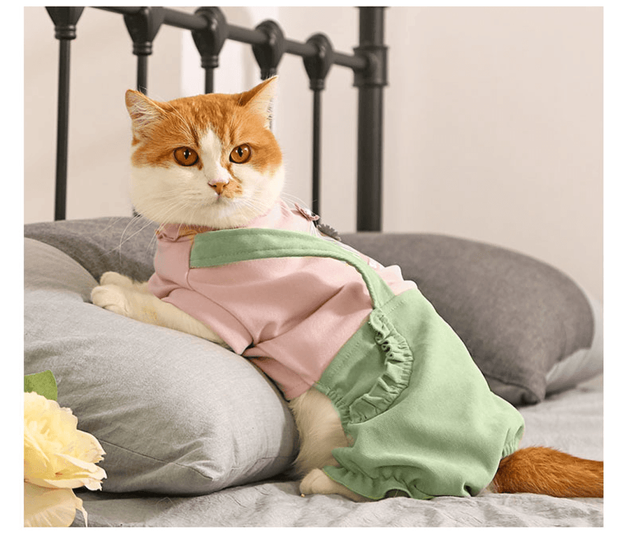 Warm and Cute Autumn and Winter Clothes for Pets - MRSLM