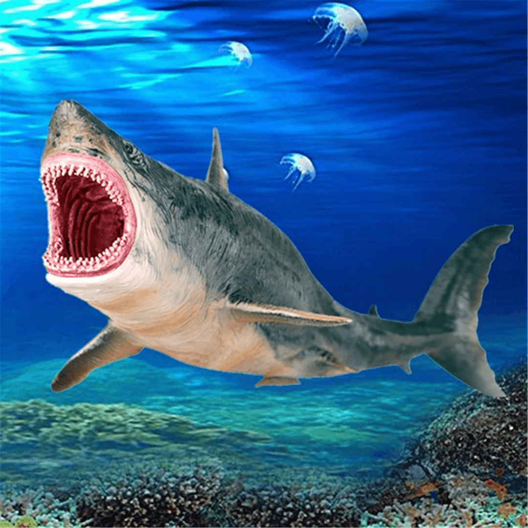 Shark Animal Model Simulation Marine Life PVC Shark Toys Children'S Adult Toys Gifts Decoration - MRSLM