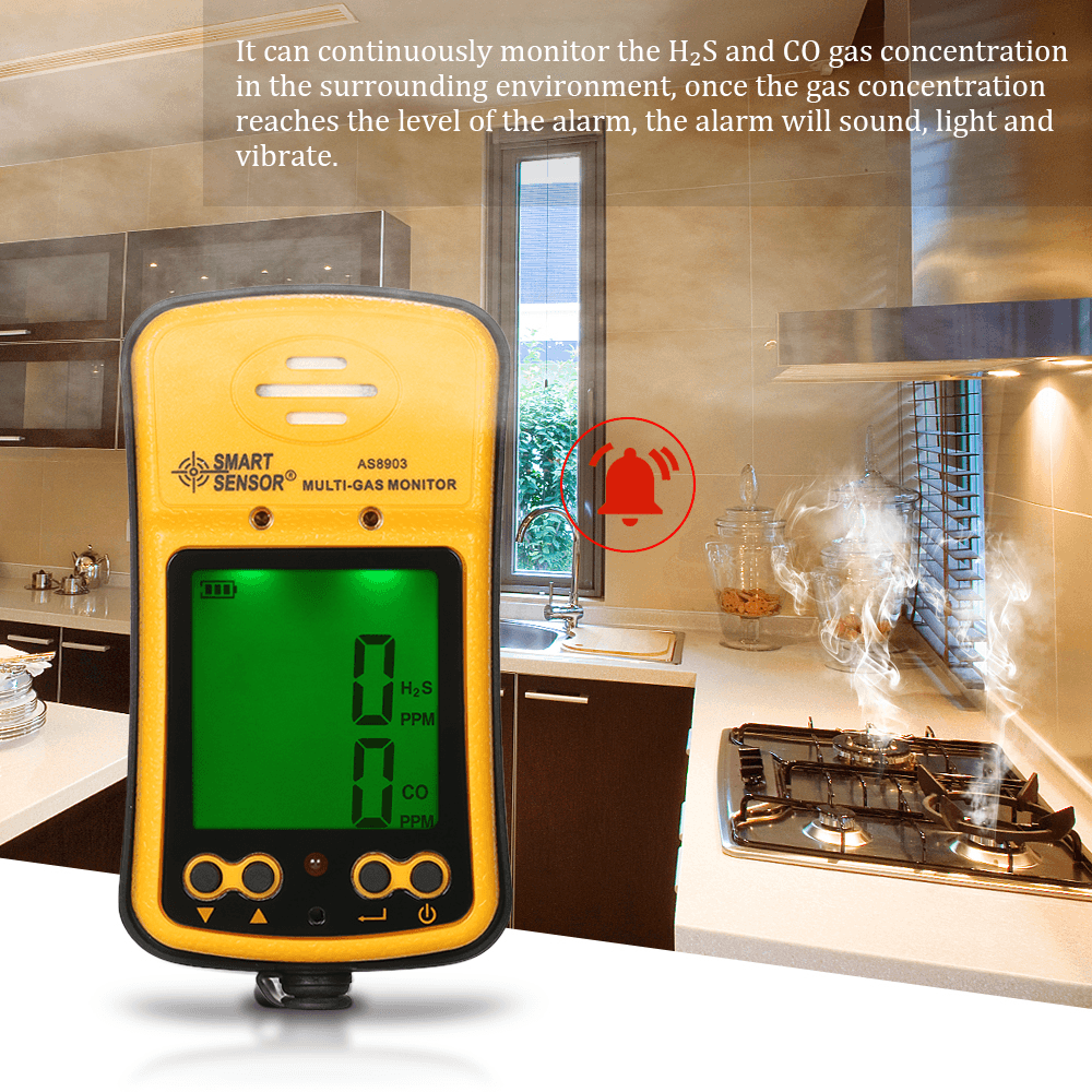 SMART SENSOR® AS8903 2 in 1 Gas Analyzer Carbon Monoxide Detector Carbonic Oxide Hydrogen Sulfide Gas Tester 0-999Ppm - MRSLM