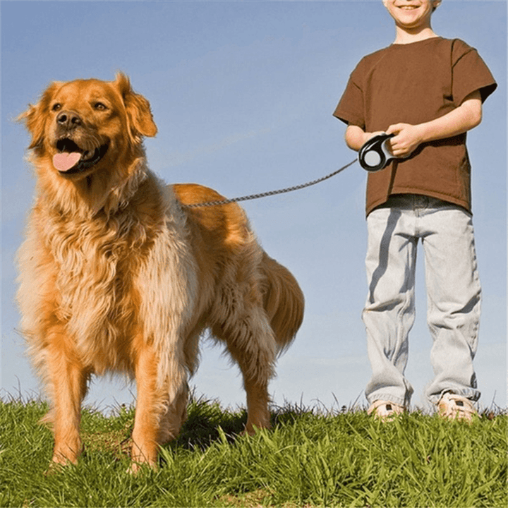 5M Dog Leash Automatic Retractable Extending Pet Leashes Dog Collar Walking Dog - MRSLM