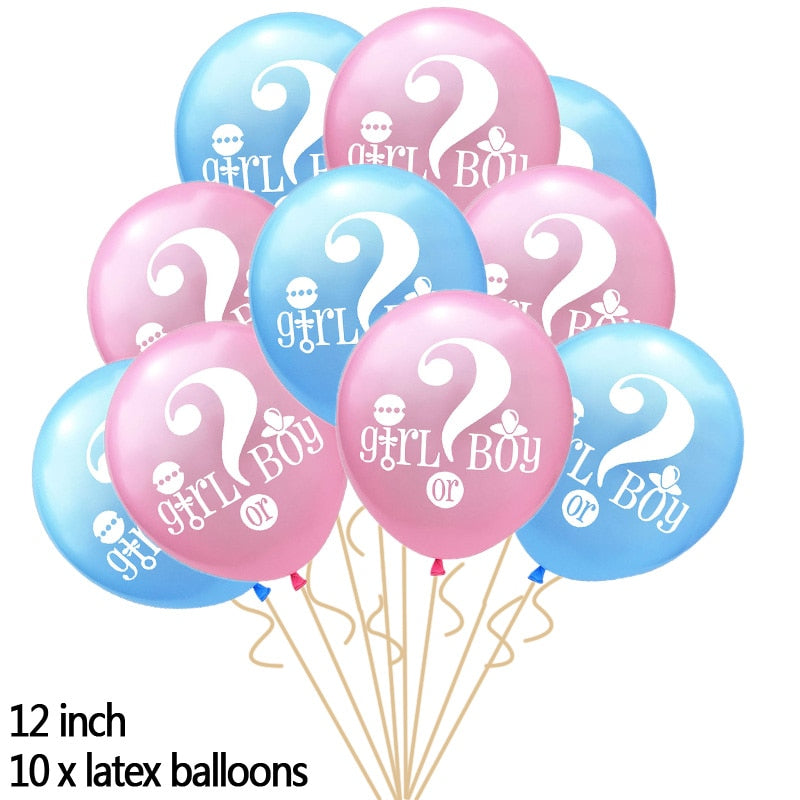 Gender Reveal Party Tableware Set & Decorations