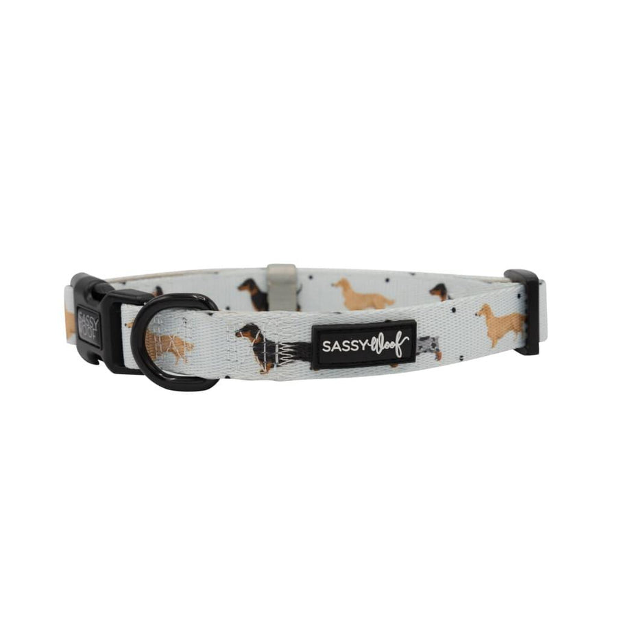 101 Dachshund' Dog Collar - MRSLM