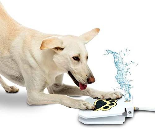 Automatic Outdoor Dog Water Fountain - MRSLM