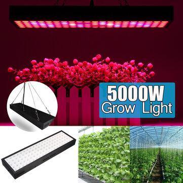 5000W LED Grow Light Strip Hydroponic Full Spectrum Veg Flower Plant Lamp Panel - MRSLM