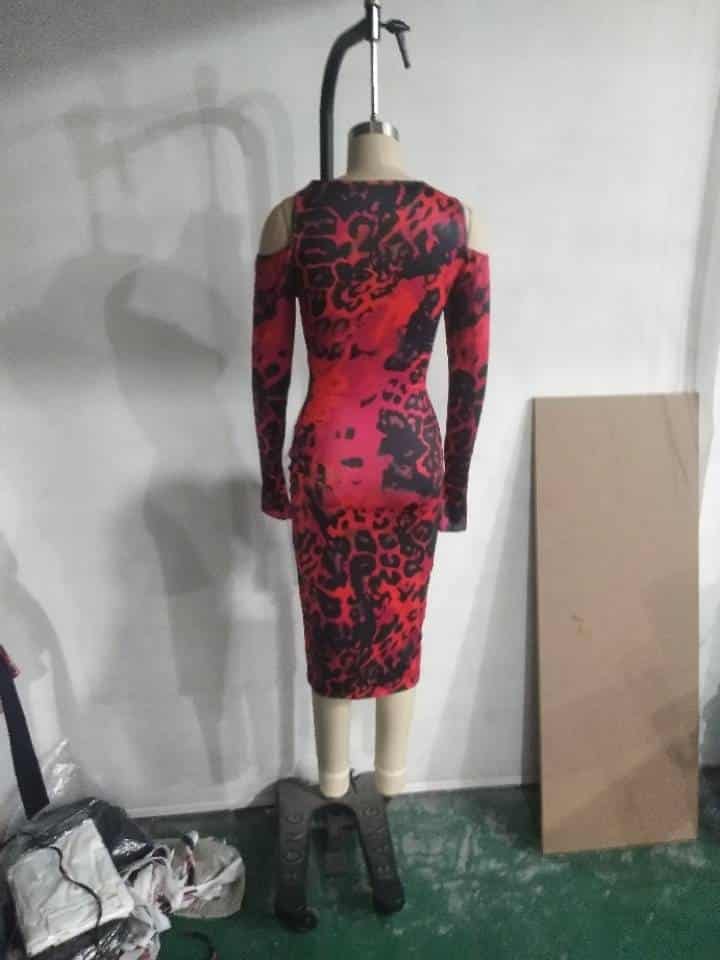 Full Sleeves Leopard Printed Dress for Women