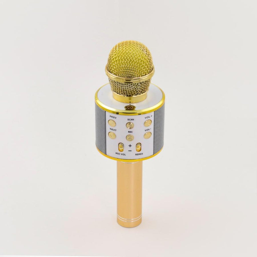 Wireless Karaoke Microphone - MRSLM